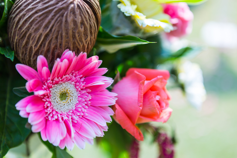 Top 10 Most Beautiful Flowers in the World 