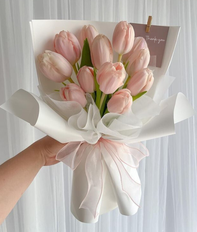Tulips Beauty