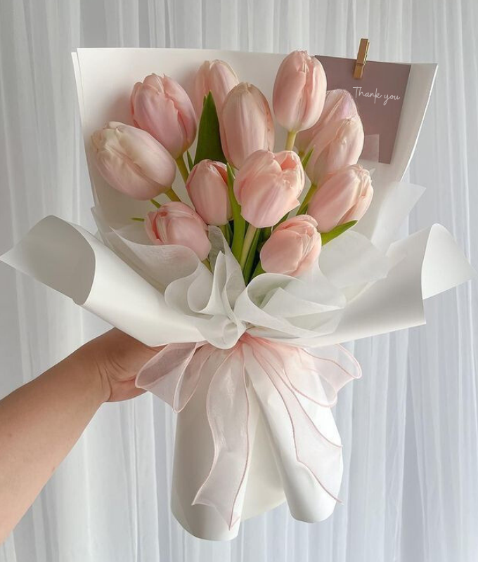 Tulips Beauty