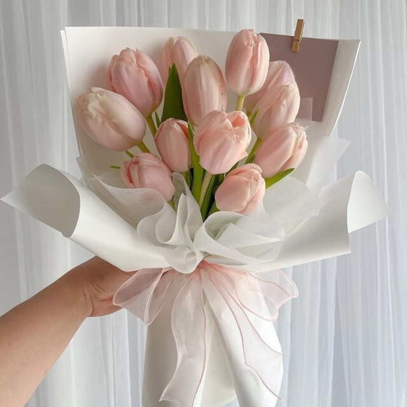Tulips Beauty