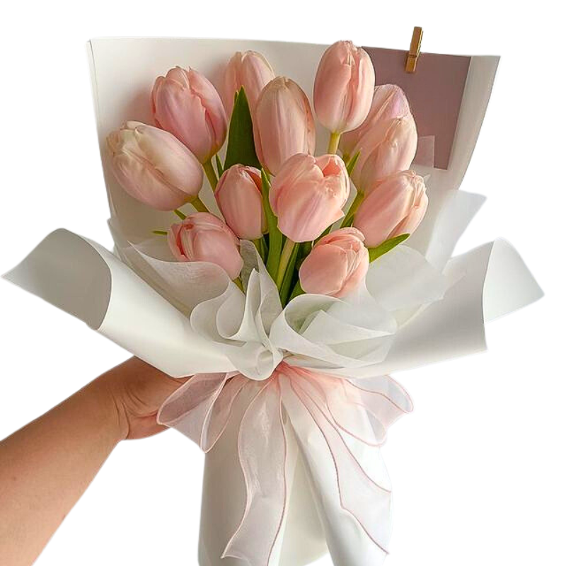 Tulips Beauty
