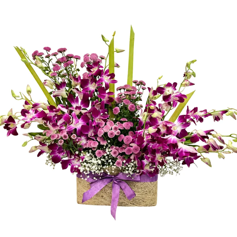 Orchid Royale Elegance