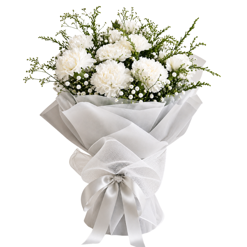 Charming Carnations