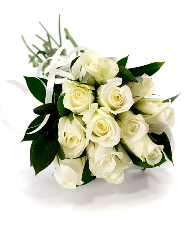 Dreamy White Roses