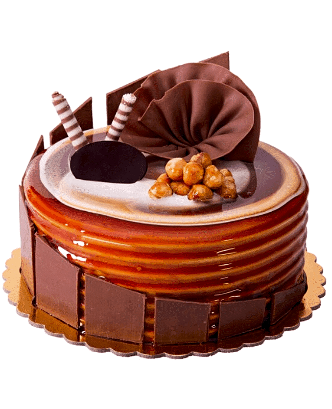 Chocolate Caramel Cake