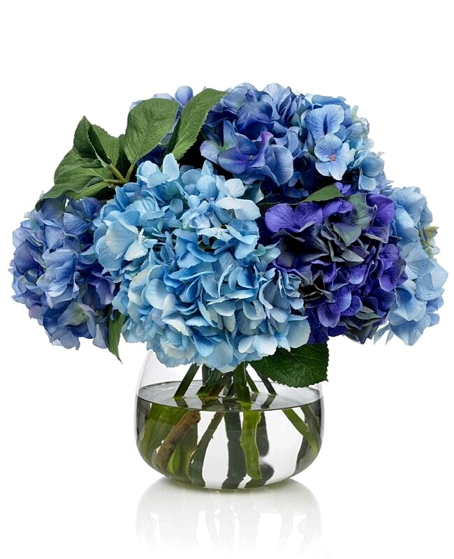 Sway me blue
