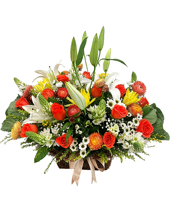Beautiful Blooms