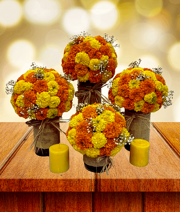 Marigold Splendor